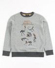 Sweaters - Grijze sweater met metallic print