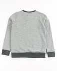 Sweaters - Grijze sweater met metallic print