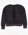 Pulls - Zwarte trui met paarse metaaldraad