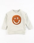 Lichtgrijze sweater Hampton Bays - null - Hampton Bays