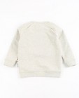 Sweaters - Lichtgrijze sweater Hampton Bays