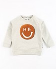 Sweats - Lichtgrijze sweater Hampton Bays