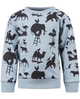 Sweats - Blauwgrijze sweater
