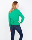Sweaters - Grasgroene sweater
