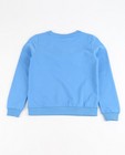 Sweaters - Hemelsblauwe sweater