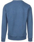 Sweats - Blauwgrijze sweater