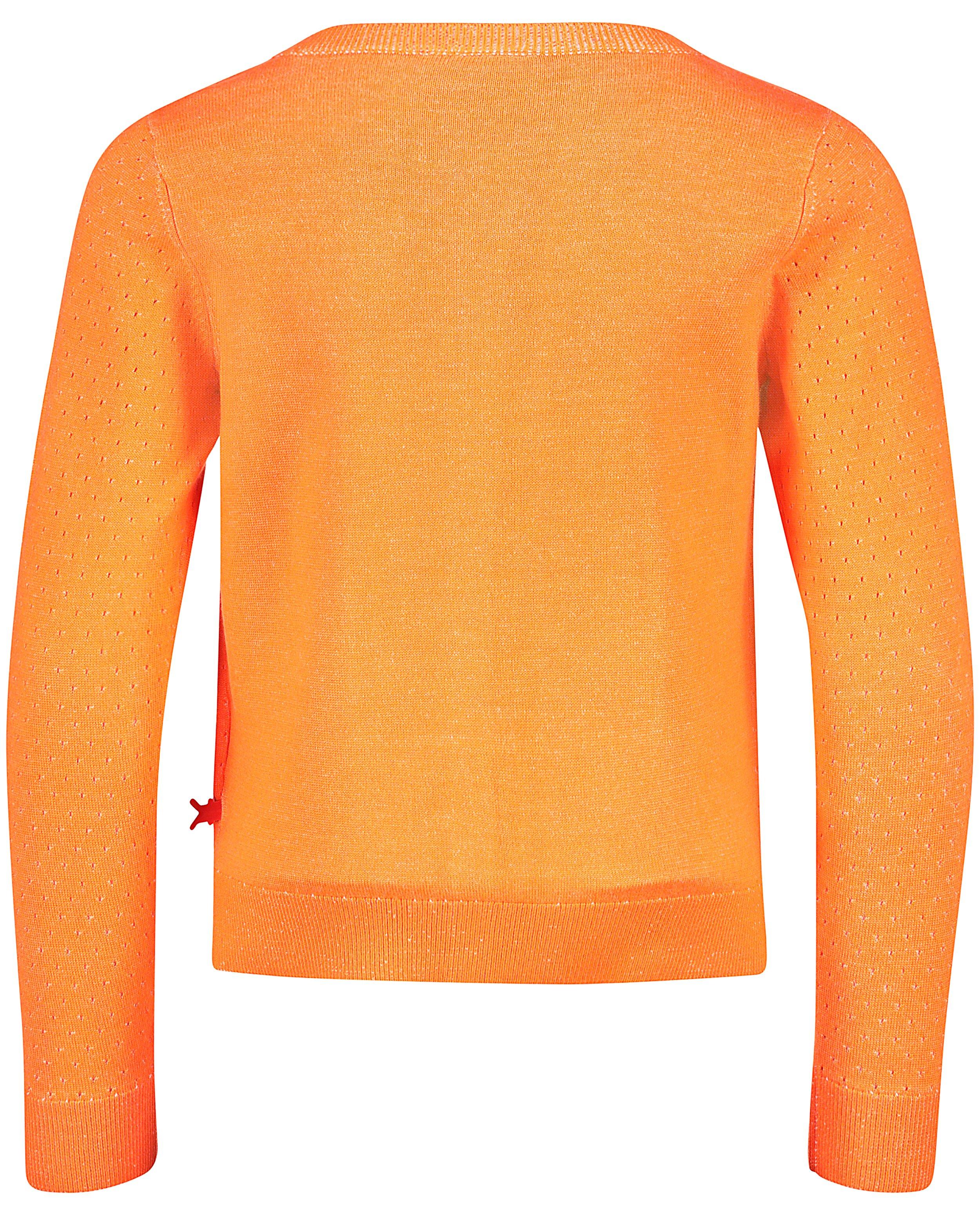 Gilet orange fluo - Détails du produit - orange vif - image numéro 4