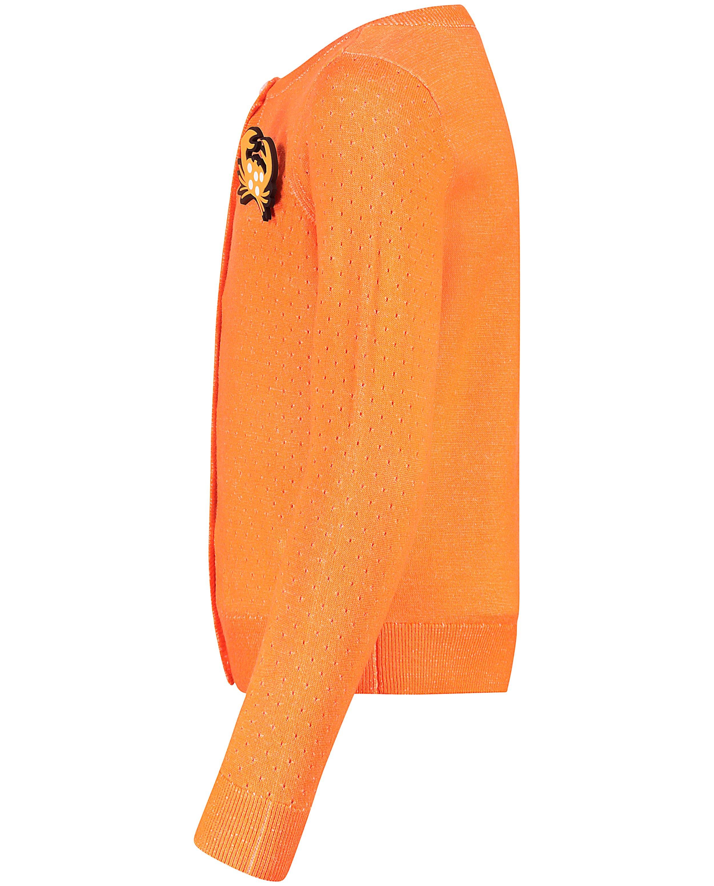 Gilet orange fluo - Détails du produit - orange vif - image numéro 5