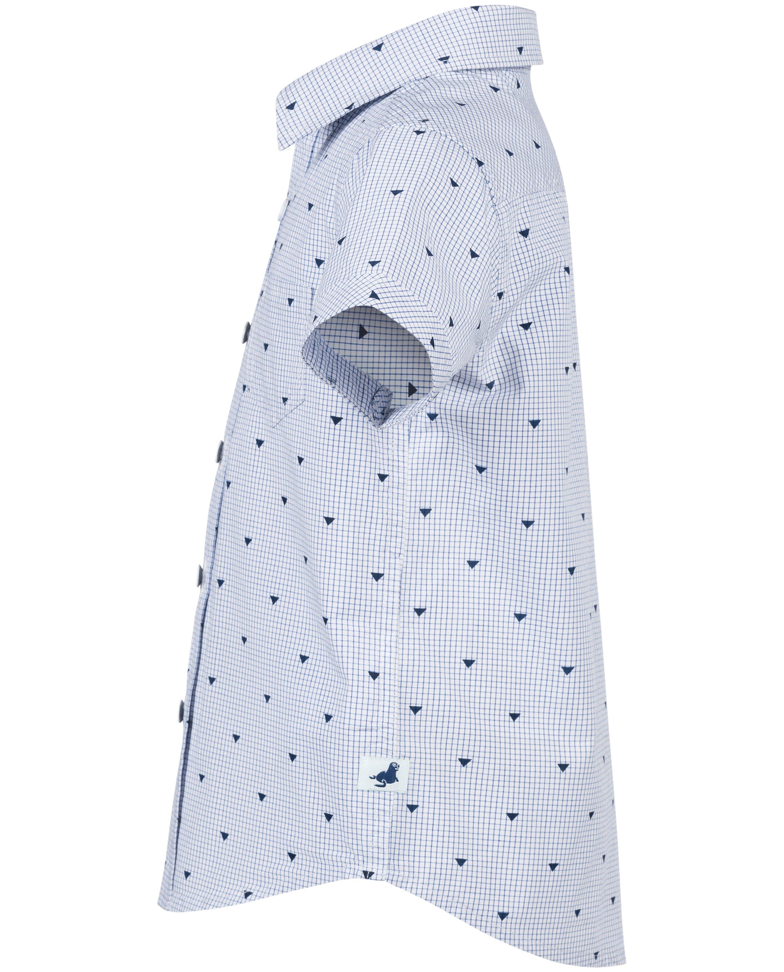 Chemises - Chemise bleue et blanche 