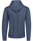 Sweaters - Gemêleerde hoodie
