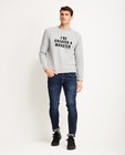Sweater gris clair - #familystoriesjbc - JBC
