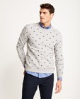Sweaters - Lichtgrijze sweater