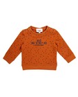 Roestbruine sweater - met geometrische print - JBC
