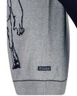Truien - Grijze trui met print Nachtwacht