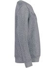 Sweaters - Grijze sweater Nachtwacht