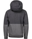 Sweaters - Grijze hoodie