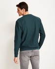Sweaters - Dennengroene sweater