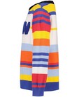 Truien - Kleurrijk gestreepte trui