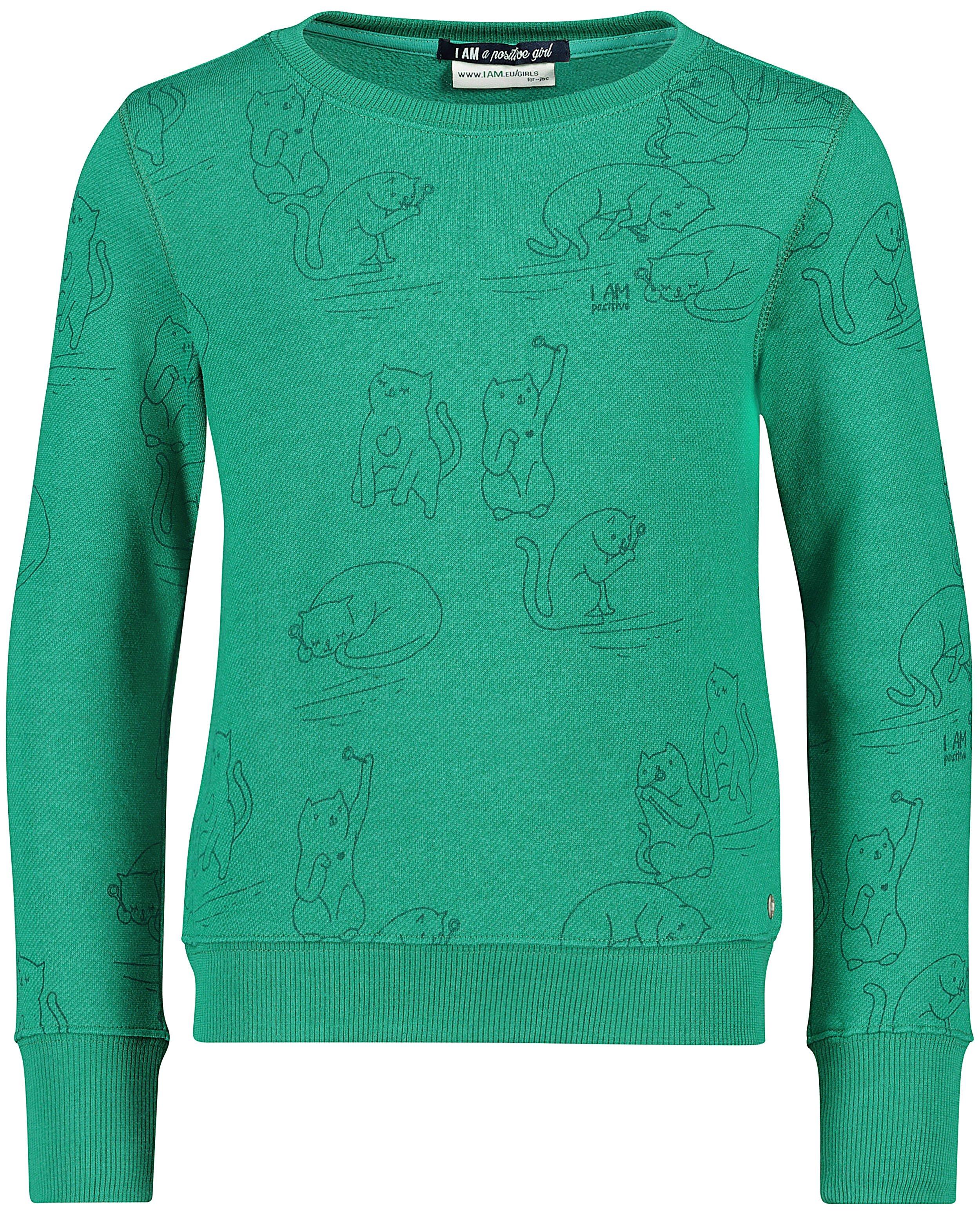 Sweats - Sweat avec des flamants