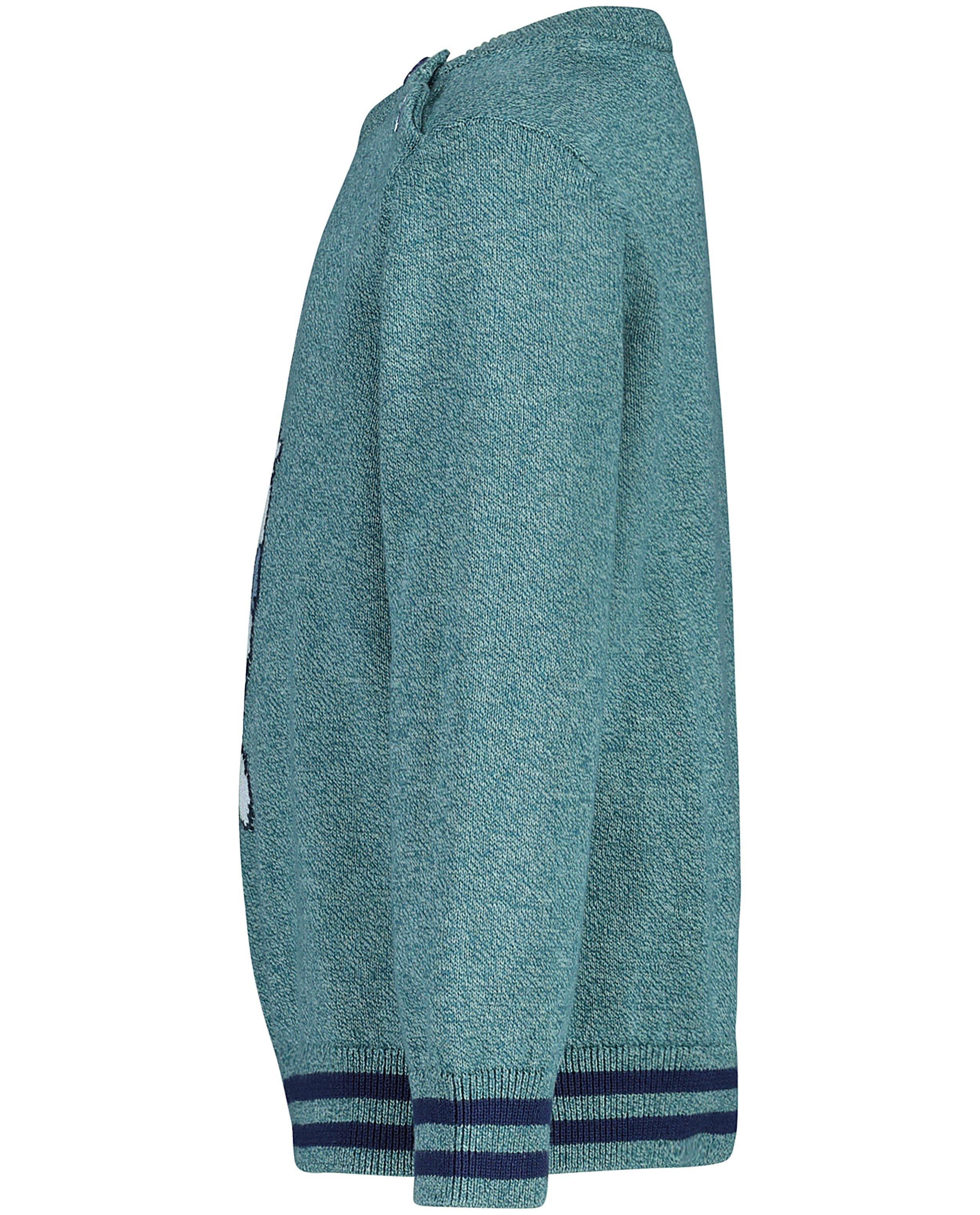 Pulls - Pull vert bleu