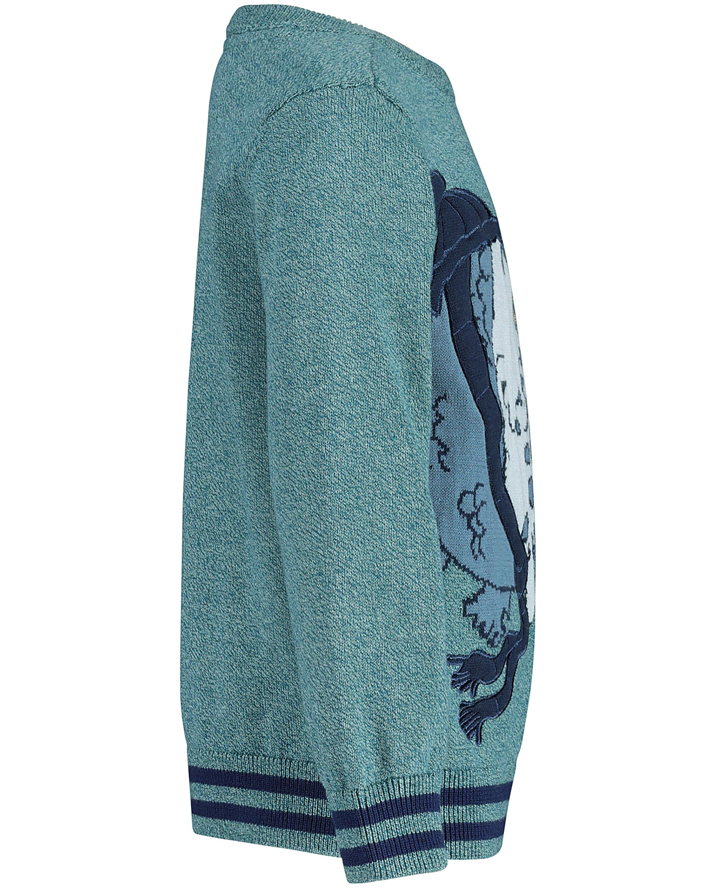 Pulls - Pull vert bleu