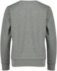 Sweaters - Sweater met dialect