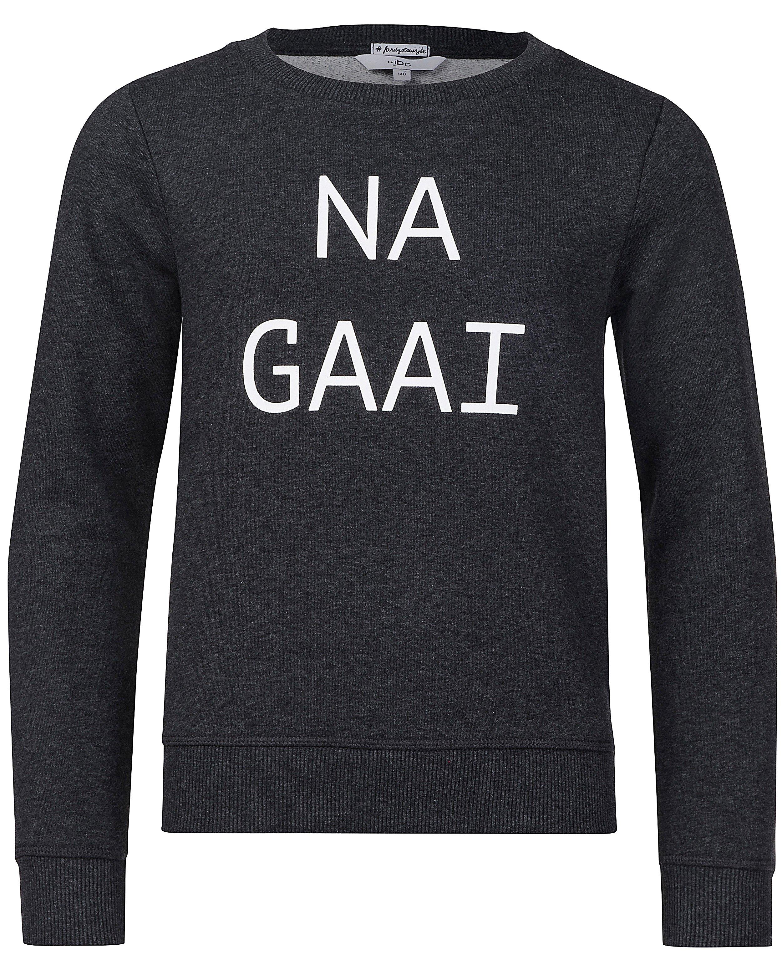 Sweaters - Sweater met dialect