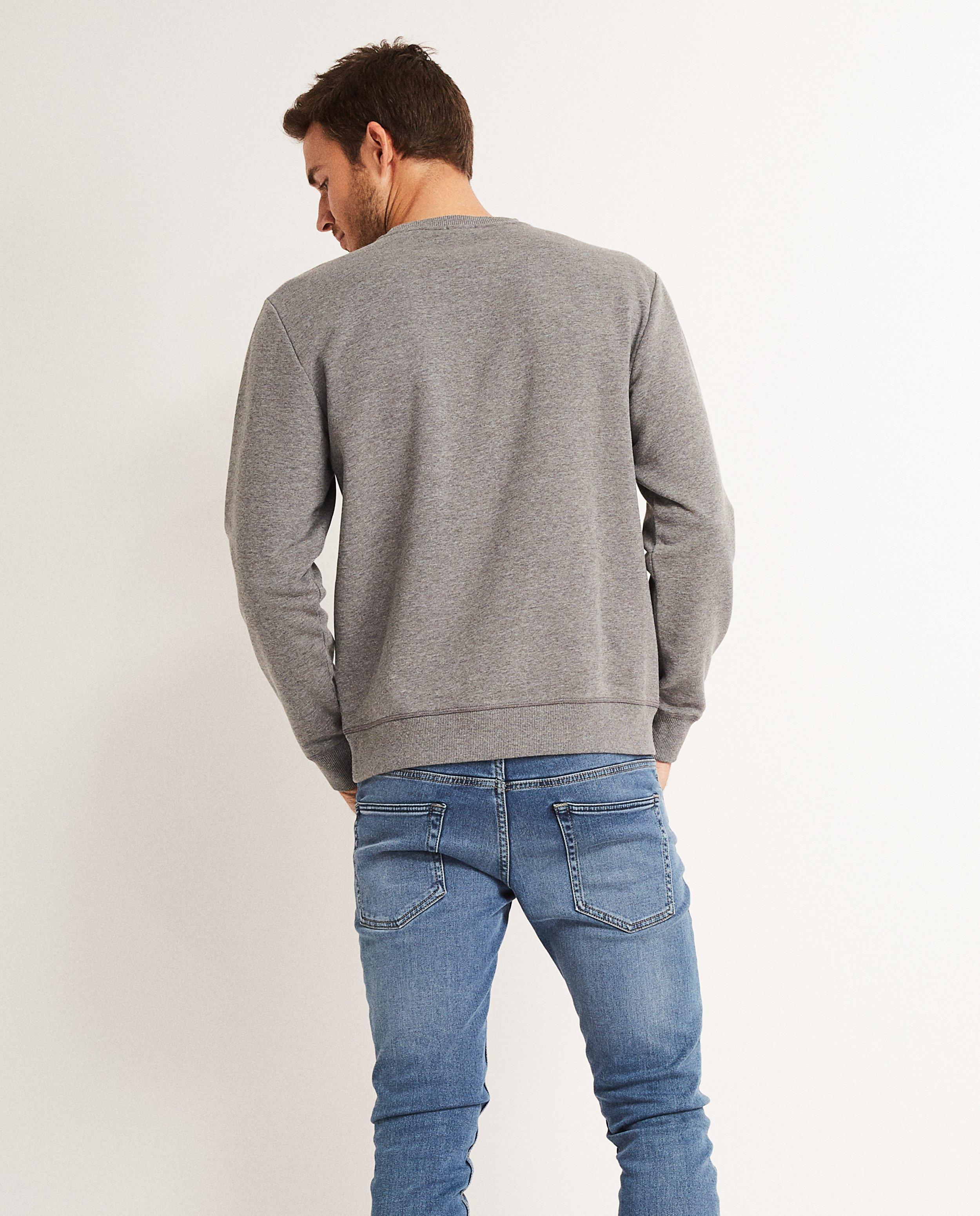 Sweater met dialect - Product Detail - grijs - afbeelding nummer 3