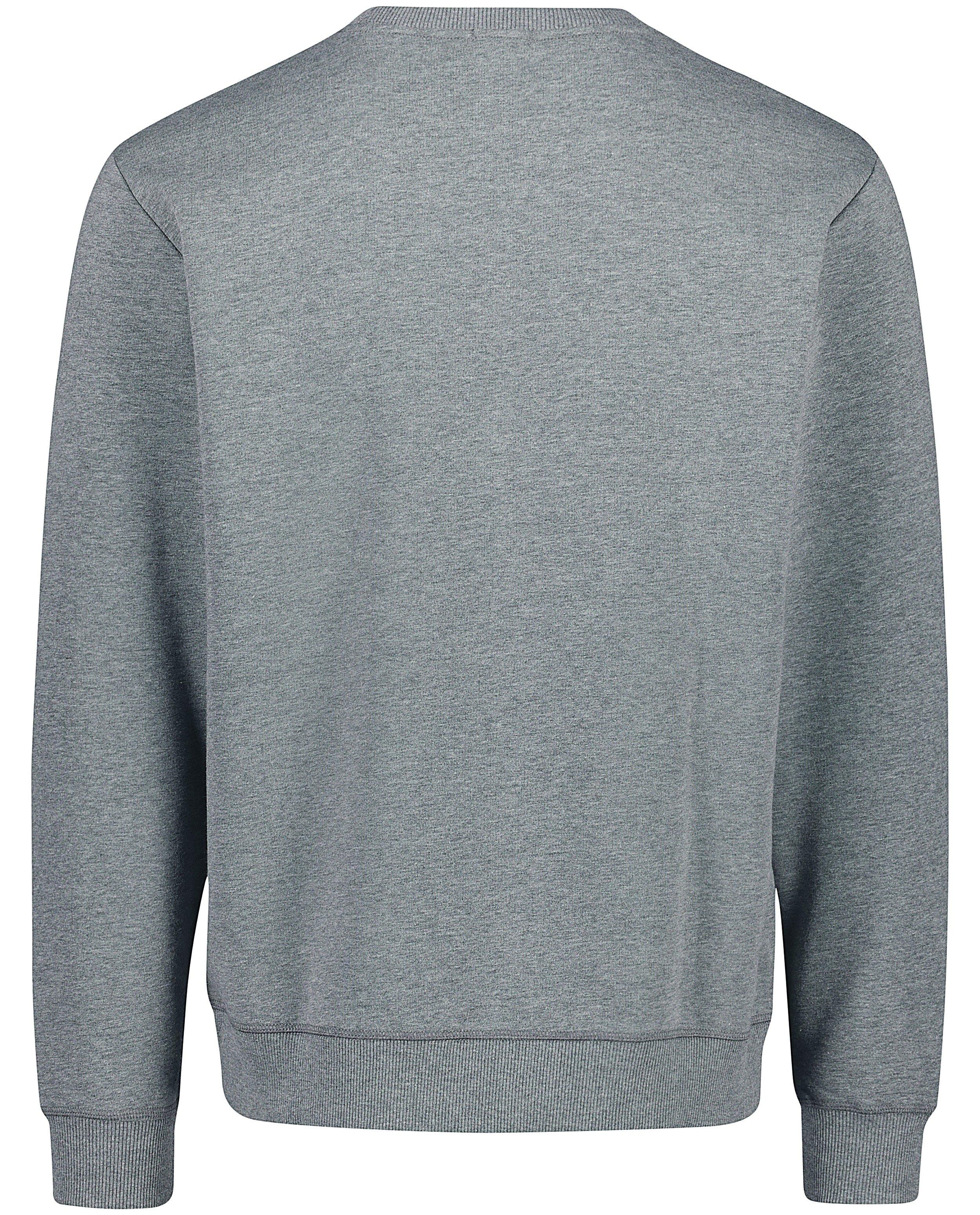 Sweater met dialect - Product Detail - grijs - afbeelding nummer 6