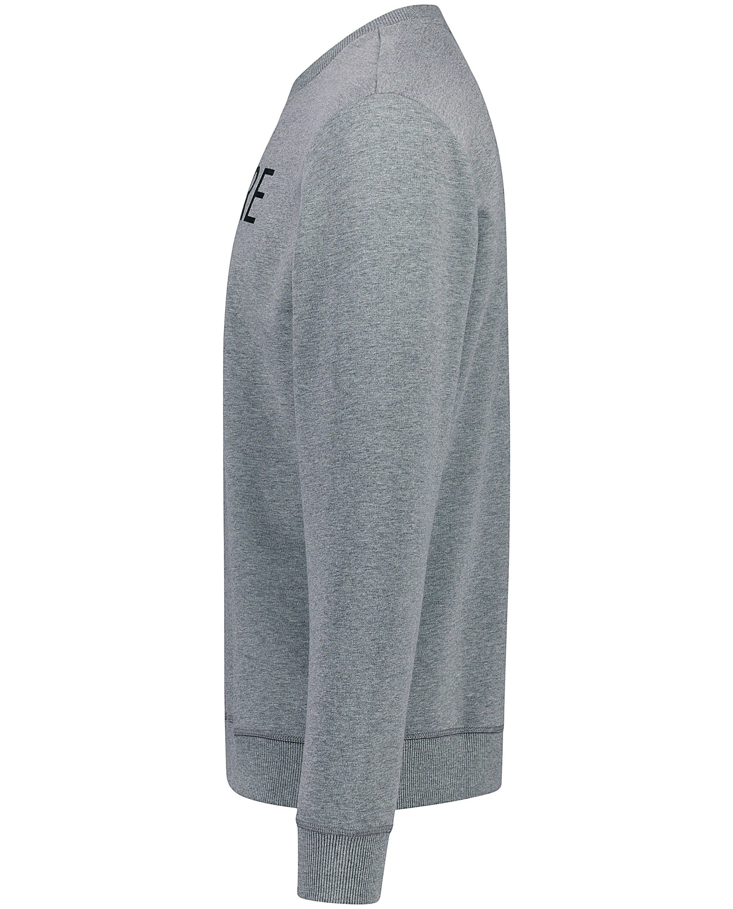 Sweater met dialect - Product Detail - grijs - afbeelding nummer 7