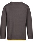 Truien - Sweater met autoprint