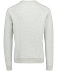 Sweaters - Lichtgrijze sweater 'DAD'