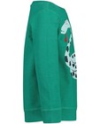 Sweaters - Groene sweater met slang Kaatje