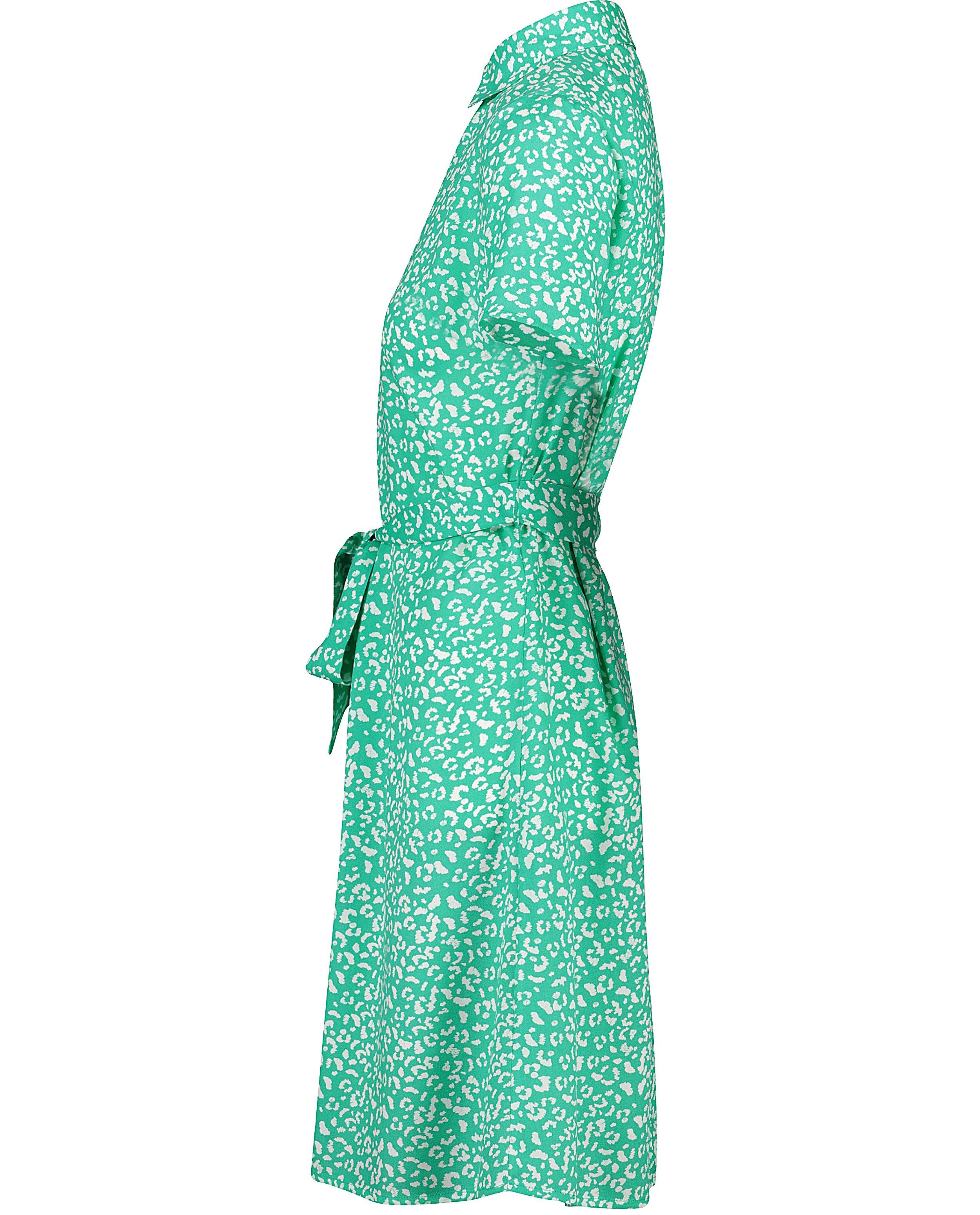 Robes - Robe vert-blanche à imprimé léopard