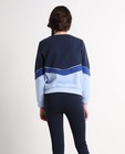 Sweaters - Color block sweater Nachtwacht