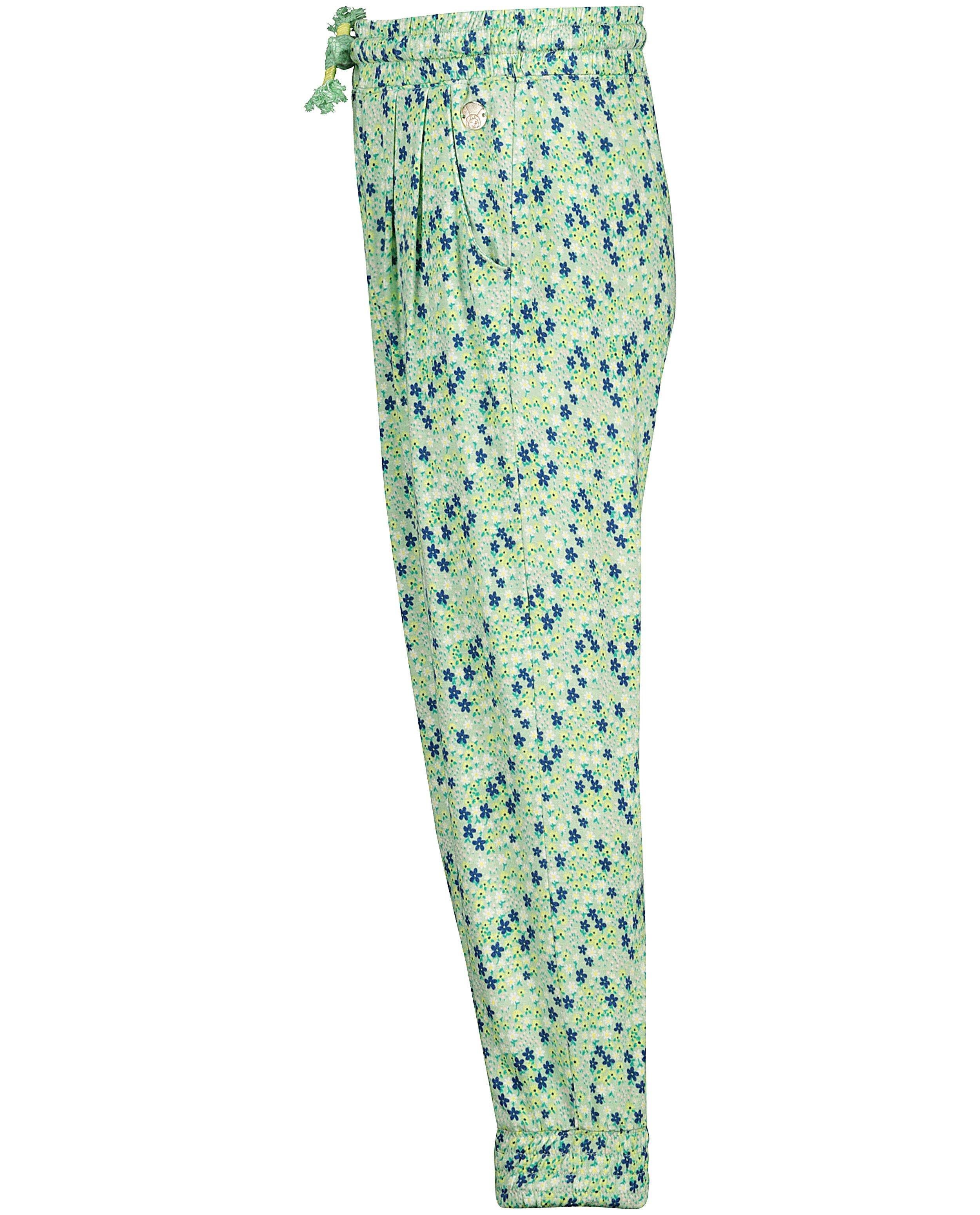 Broeken - Groene broek met print Maya