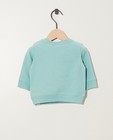 Sweaters - Blauwgroene sweater van biokatoen