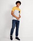 Grijs T-shirt met color block - met 3 kleuren - JBC