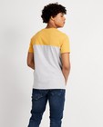 T-shirts - T-shirt gris avec color block