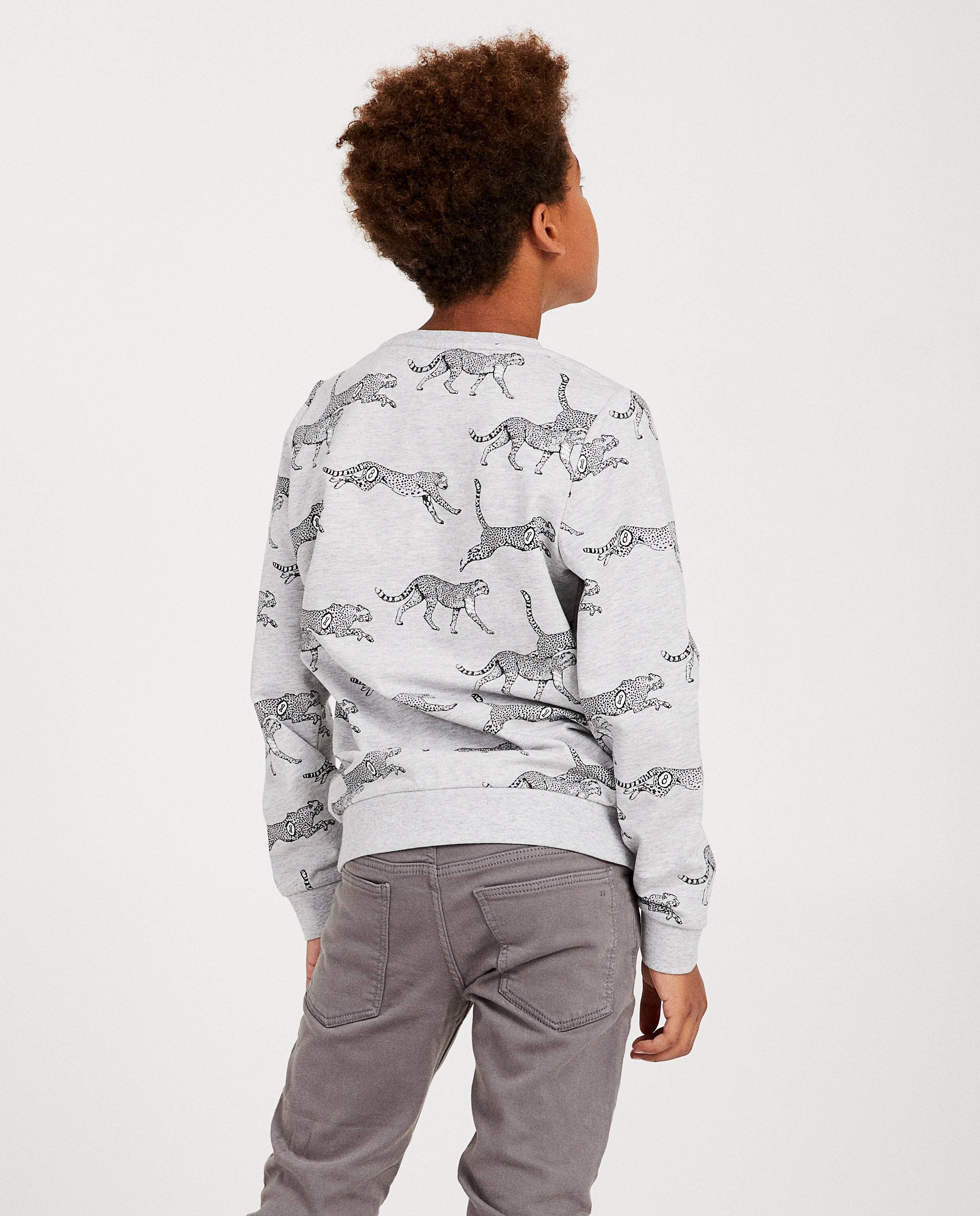 Sweaters - Grijze sweater met luipaardprint