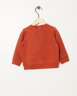 Sweaters - Terracotta sweater van biokatoen