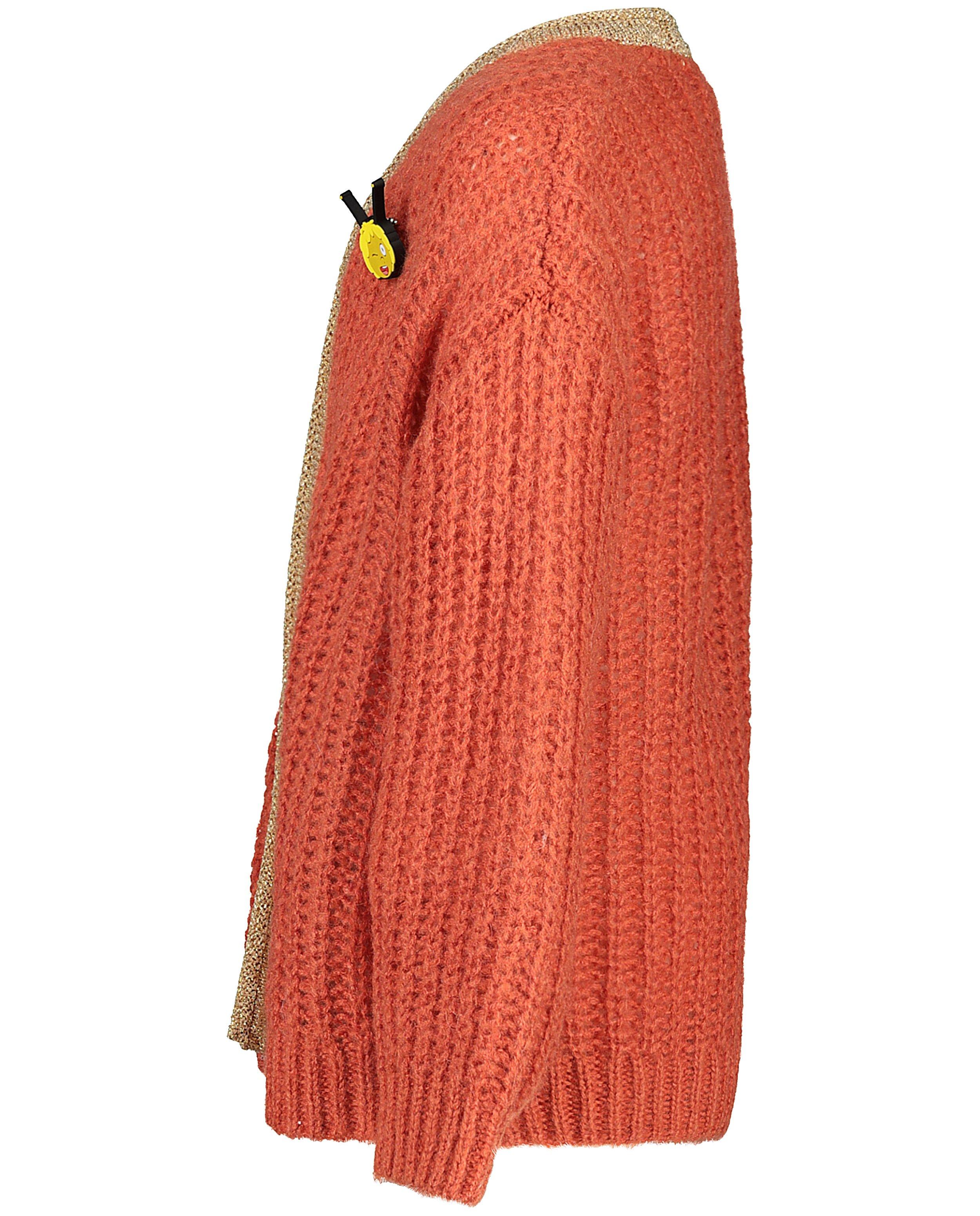 Oranje cardigan van Maya - Product Detail - terracotta - afbeelding nummer 5