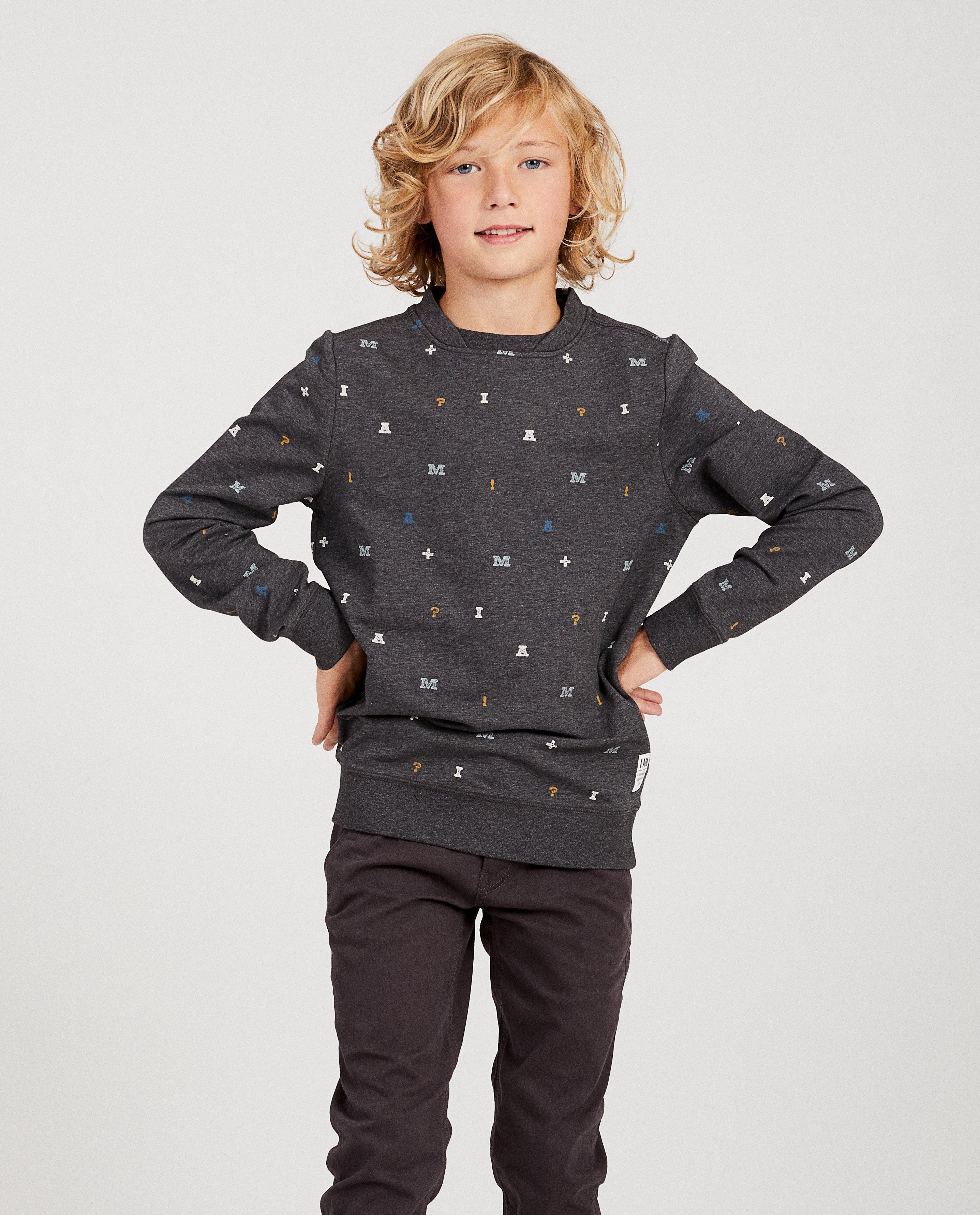 Sweaters - Grijze sweater van biokatoen I AM