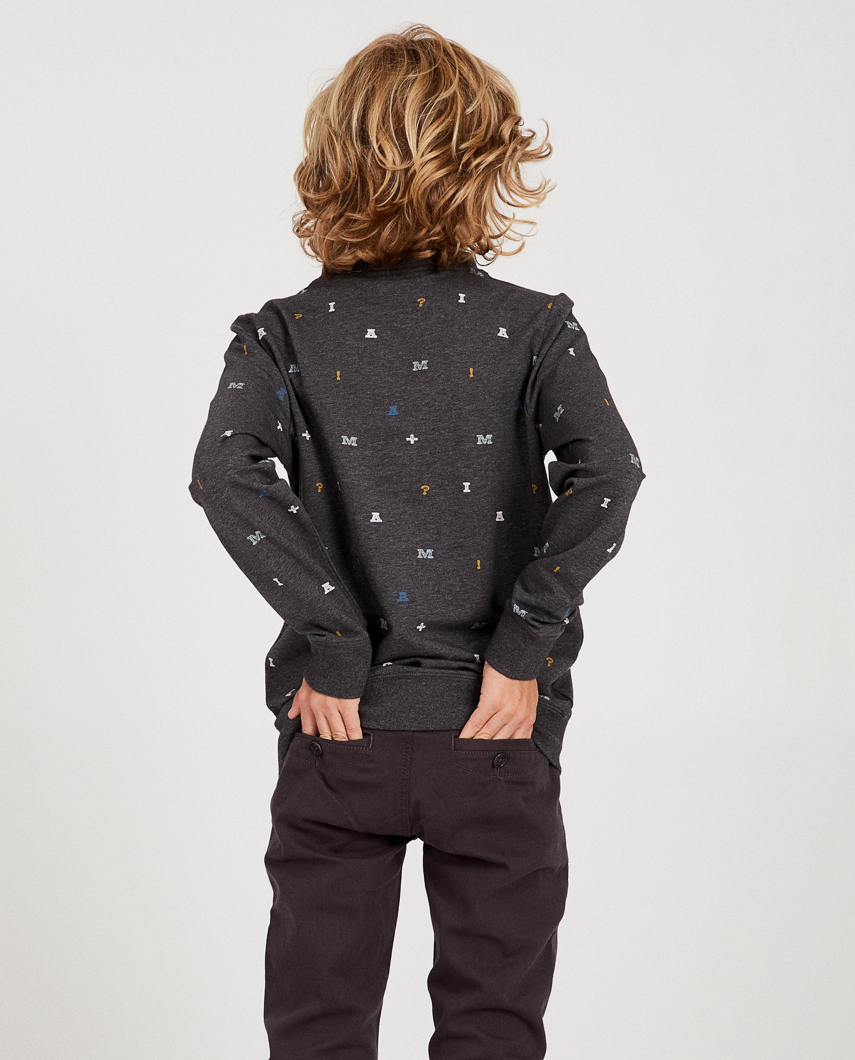 Sweaters - Grijze sweater van biokatoen I AM
