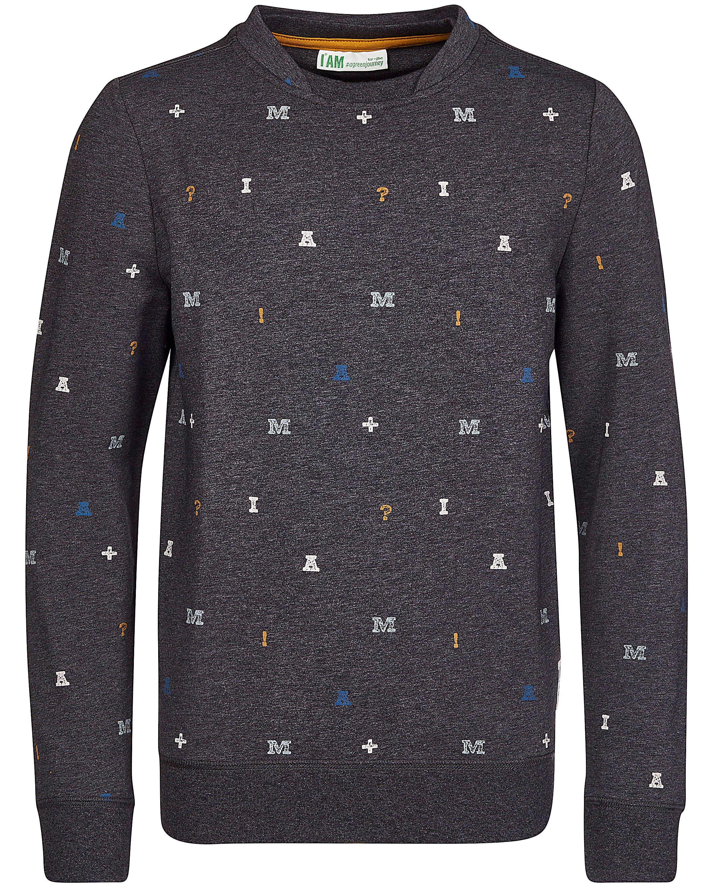 Sweaters - Grijze sweater van biokatoen I AM