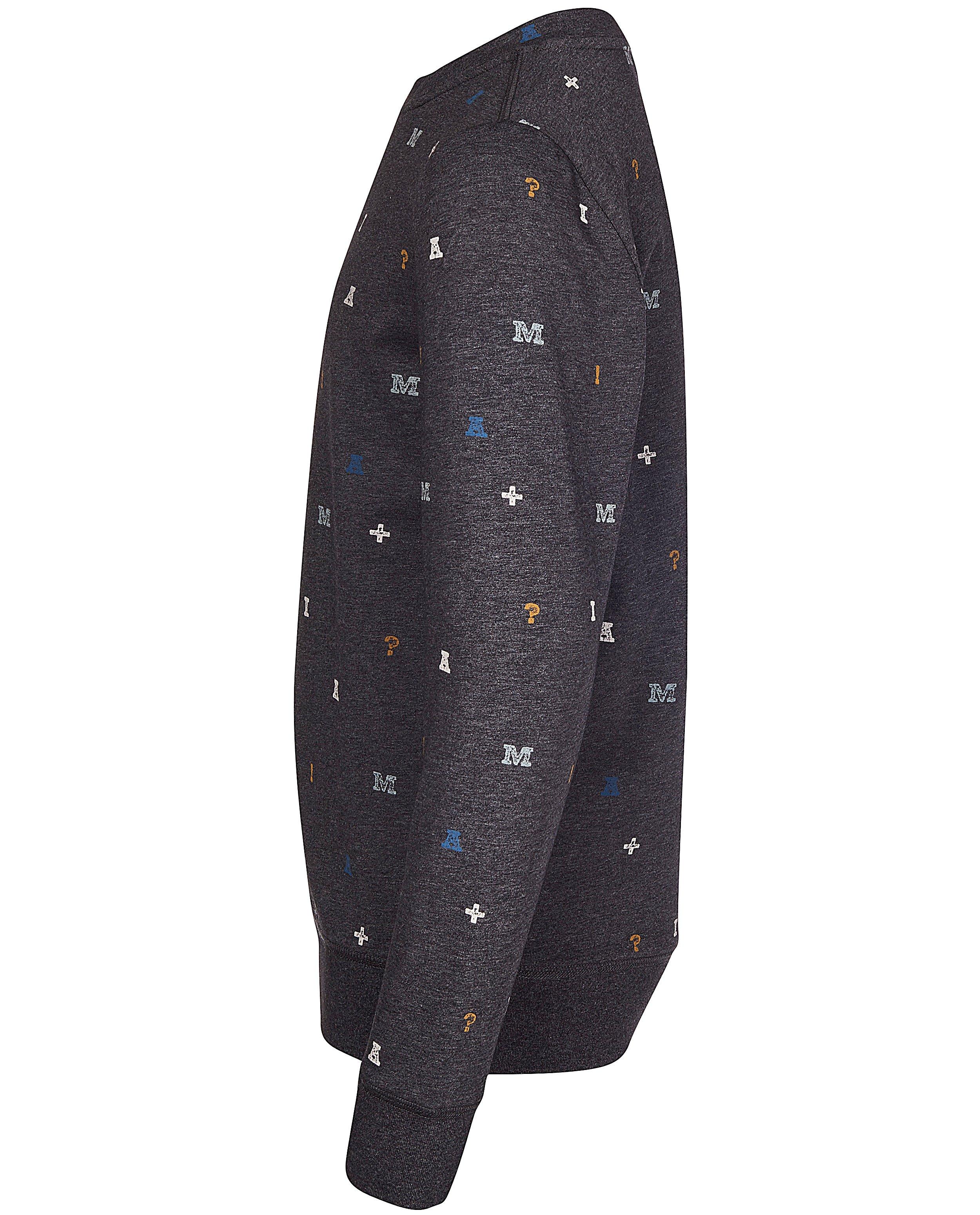 Sweaters - Grijze sweater van biokatoen I AM