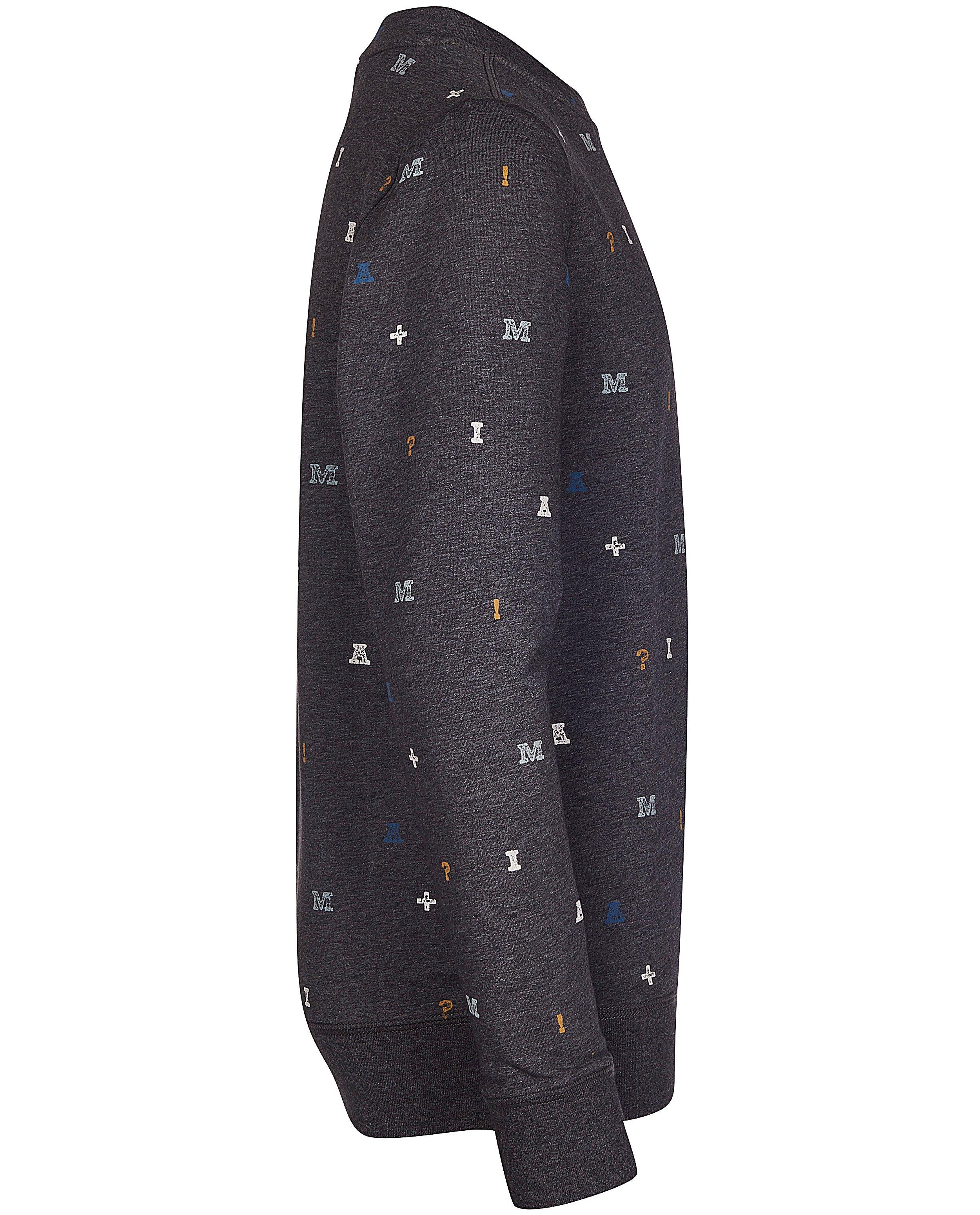 Sweaters - Grijze sweater van biokatoen I AM