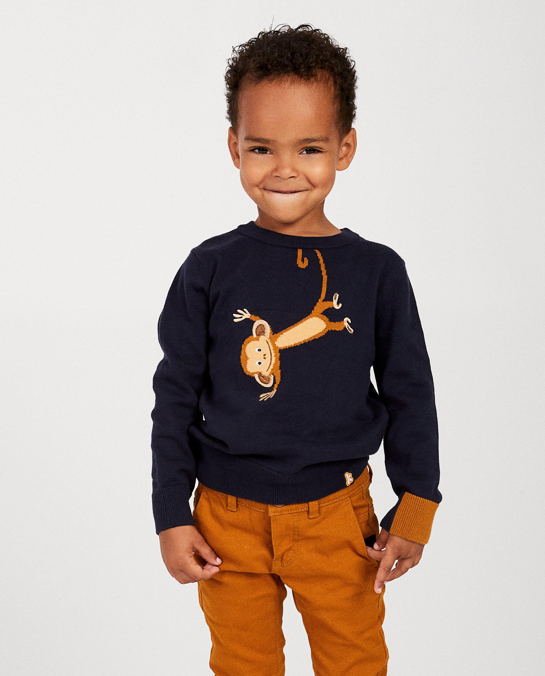 Pulls - Pull bleu avec singe Kathy
