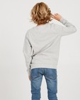 Sweaters - Grijze longsleeve met print