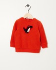 Oranjerode sweater met dinoprint - in bouclé - JBC